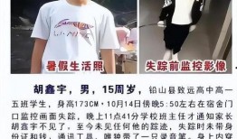 胡鑫宇最新学生爆料,学生爆料揭开惊人真相