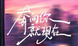 心动的信号7最新爆料,甜蜜互动升级，神秘嘉宾引期待！